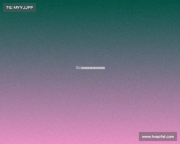 TEC战队集结全新征程，谁将加冕荣光？